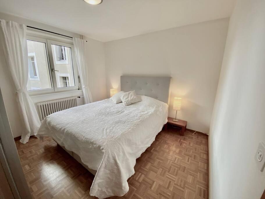 Comfortable, Very Well Located Between Train Station And Lake! Lozan Dış mekan fotoğraf